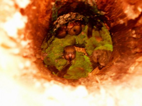 Resize of PICT0049 oprava.JPG